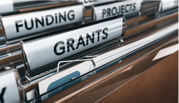 Private Grants vs Government Grants – An Overview of the Difference