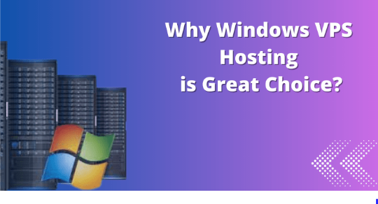 Why Could Windows VPS Hosting Be a Great Choice for Your Business?