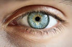 How to Maintain Good Eyesight: Everything You Need to Know